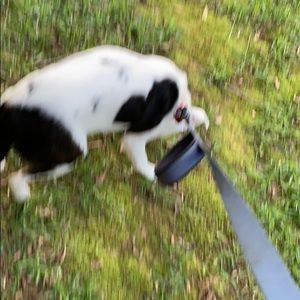 Meet your Posher, Jon